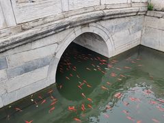 -北京市劳动人民文化宫(太庙)