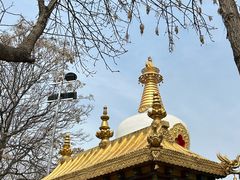 -护国法轮寺