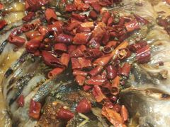 -鱼酷活鱼烤鱼(沈阳大悦城店)