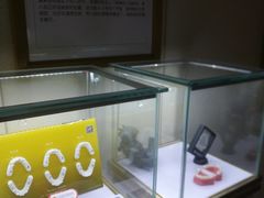 -团圆口腔·种植中心(锦江院区)