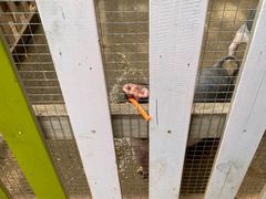 -吉姆冒险世界(蓟州店)
