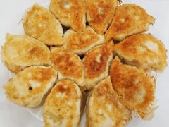 -东北饺子馆(马尾君竹店)