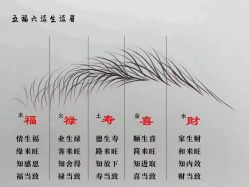 -安吉拉青春化管理中心