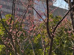 -玉山公园