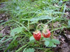 -互助北山国家地质公园漂流