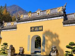 -天目山大树王景区