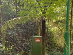 -赤水丹霞旅游区·佛光岩