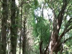 -同里国家湿地公园