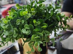 -攸州小镇家湘菜(小米科技园店)