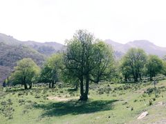 -兰州吐鲁沟国家森林公园