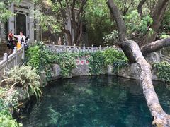 -蝴蝶泉公园