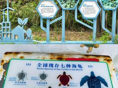 -广东惠东海龟国家级自然保护区