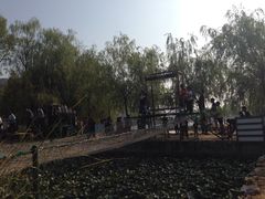 -沂蒙云瀑洞天景区