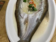 -新梅华(太仓万达店)