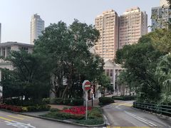 -香港大学