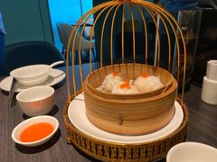 -鹊玥·粤菜小馆(汇智国际商业中心店)