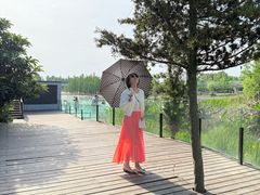 -白鹭湾湿地公园