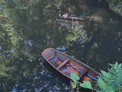 -广州兰圃