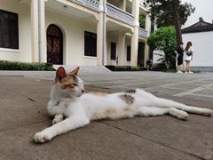 -南京中国近代史遗址博物馆(南京总统府)