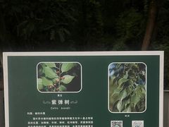 -福道