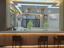-宝生月子中心(独栋园林·福田店)