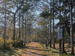 -田野绿世界