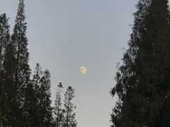 -三好坞景观餐厅