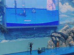 -福州罗源湾海洋世界旅游区