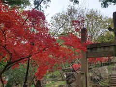 -虞山风景区