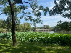 -承德避暑山庄景区