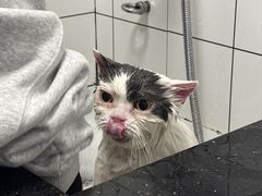 -拜鲁耶动物诊疗中心·宠家动物医院