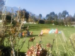 -云禾壹海景庄园餐厅