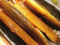 泥鳅-沸炉重庆老火锅(军事博物馆店)