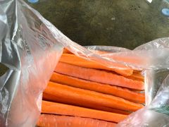 -松声马术俱乐部