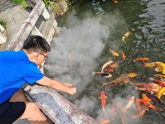 -杭州西湖柳莺里酒店·闻莺厅