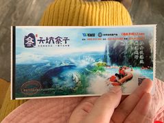 -武隆天坑寨子景区