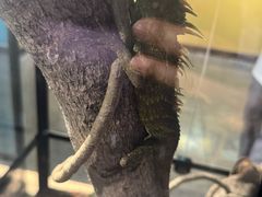 -昆山招商花园城