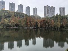 -重庆彩云湖湿地公园