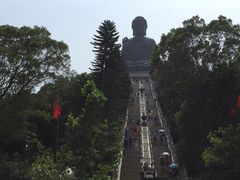 -宝莲禅寺