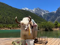 -玉龙雪山蓝月谷