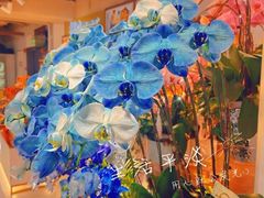 -city'super超·生活(国金中心商场店)