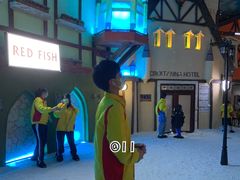 -世界之窗阿尔卑斯冰雪世界