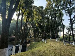 -马王堆汉墓遗址