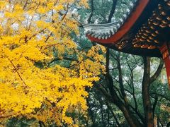 -汇龙潭