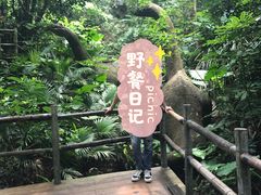 -青青世界