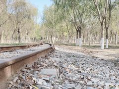 -西青郊野公园