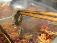 -祝幺妹火锅(裕华村总店)