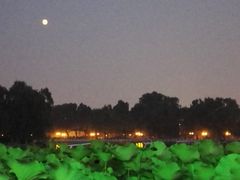 -小王府(什刹海店)