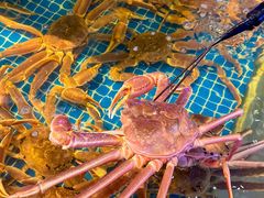 -驻海渔市(置信店)