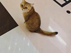 -天河领展广场